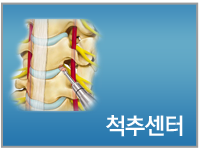 척추센터